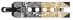 CORE CL1 19" Deck Black Gold
